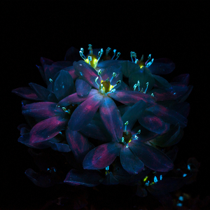 精品影院三级手机版在线观看
